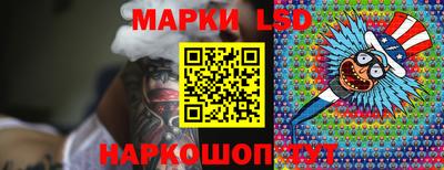 Альфа ПВП Новодвинск