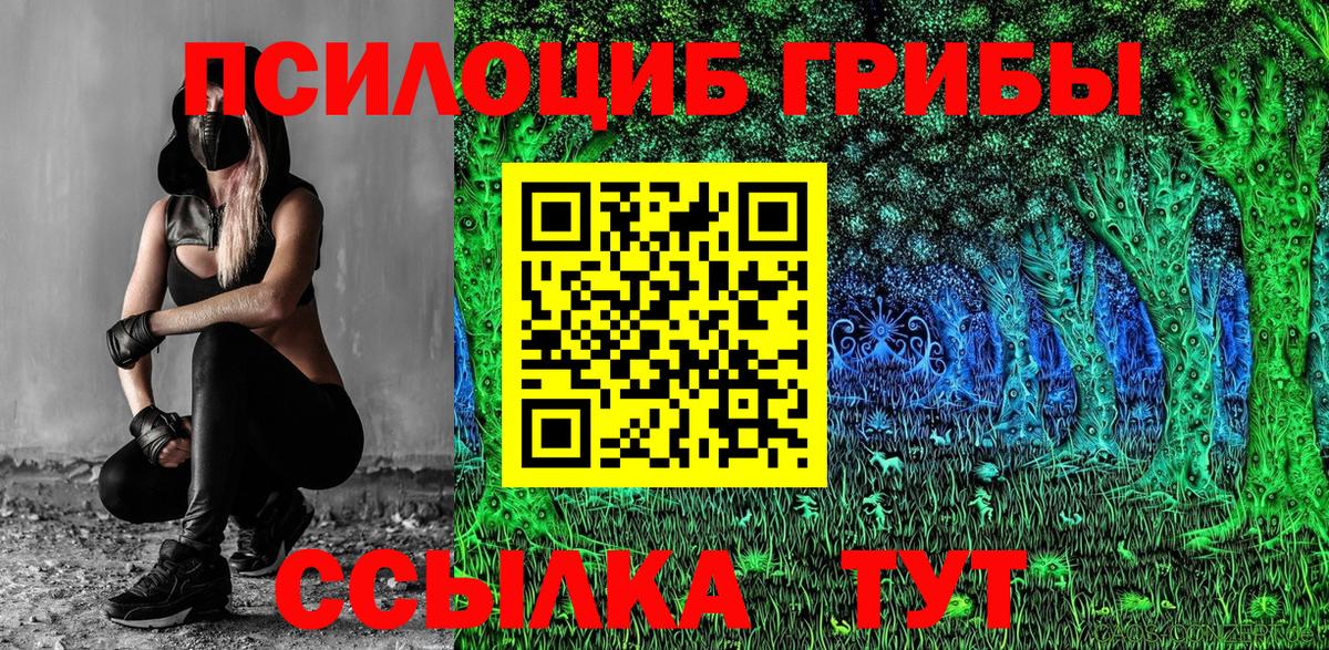 Тельмана  Галлюциногенные грибы Psilocybe  Вход с VPN 