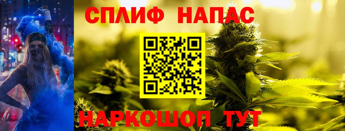Канабис конопля  Каннабис планчик  Марихуана сатива  Тельмана  Вход с VPN 